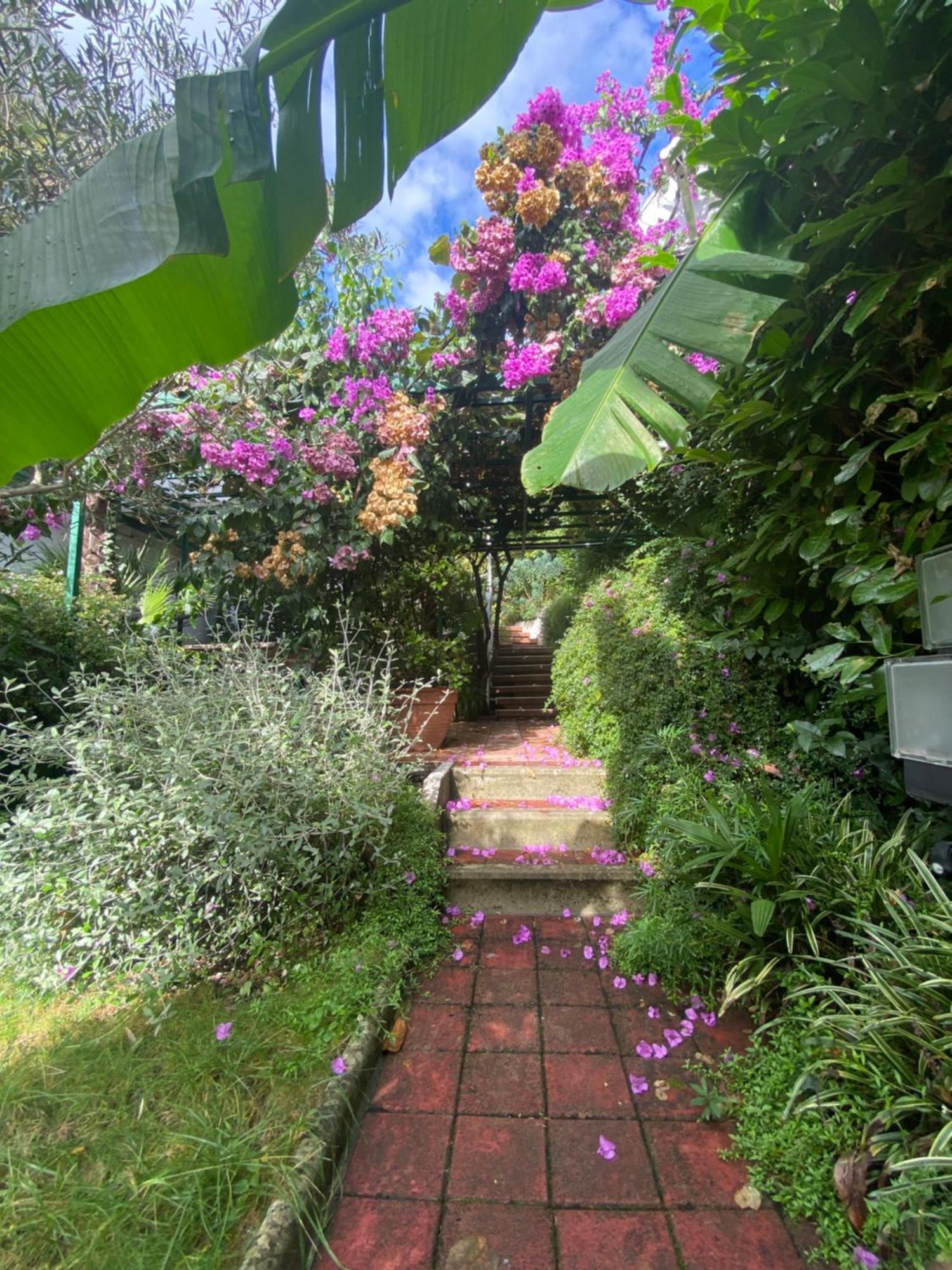 Sunny Garden Lejlighed Opatija Eksteriør billede